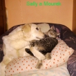 Sally s Mourkem - pohodov kamardi
