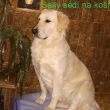 Sally po roce