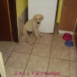 Sally je o n�co v�t��