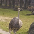 Zoo Ostrava