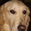Sally