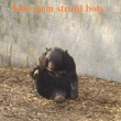 Zoo Ostrava