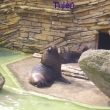 Zoo Len