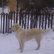 Sally na zahrad�